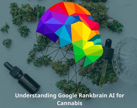 Top Google ad agency with proven SEO services for cannabis experience and dispensary search growth results