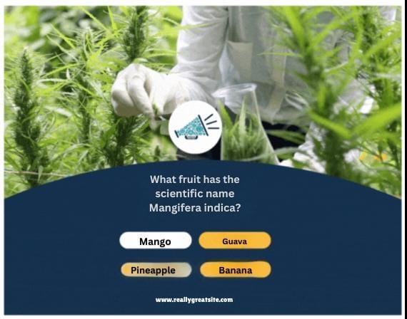 Industries We Serve – Car dealership SEO and marketing to drive local test drives and automotive inquiries